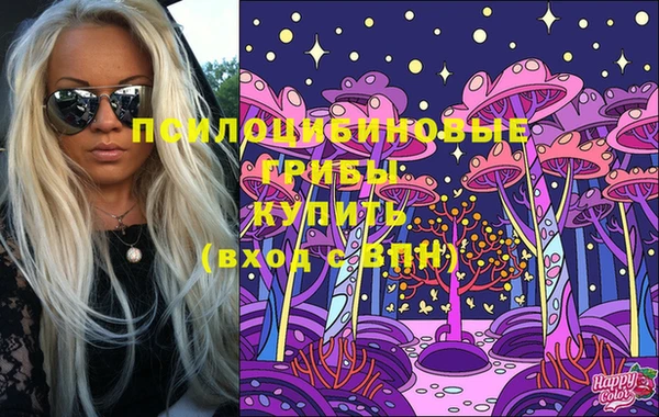 прущий лед Алзамай