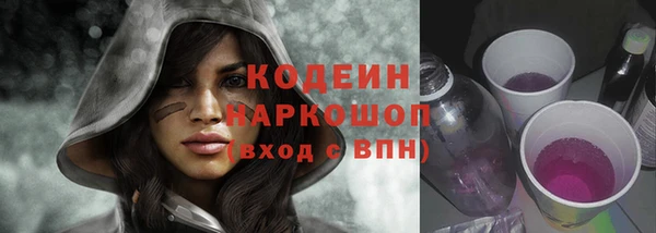 прущий лед Алзамай