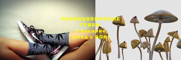герыч Алексин
