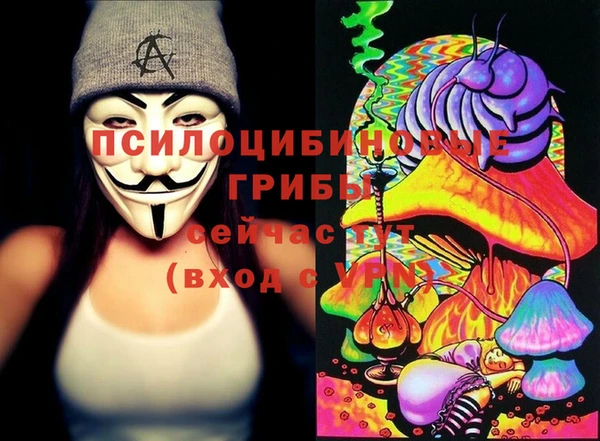 ПСИЛОЦИБИНОВЫЕ ГРИБЫ Абдулино