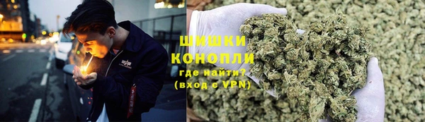 прущий лед Алзамай