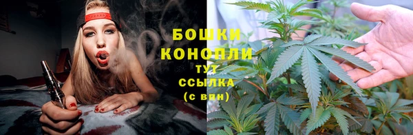 гашик Абаза