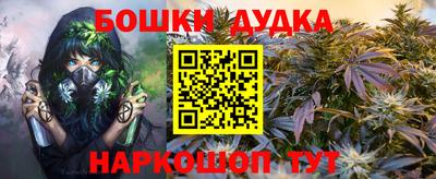 молекула духа Партизанск