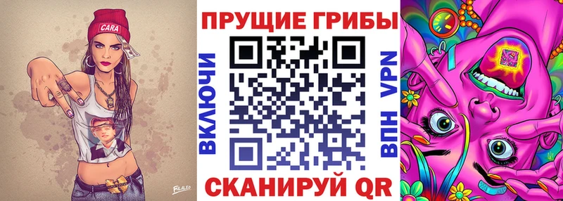 гидра рабочий сайт  Якутск  Псилоцибиновые грибы MAGIC MUSHROOMS  где купить  
