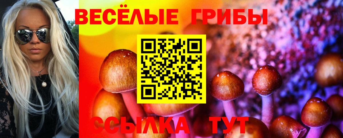 Галлюциногенные грибы MAGIC MUSHROOMS  Вход с VPN  Якутск  Галлюциногенные грибы Cubensis 